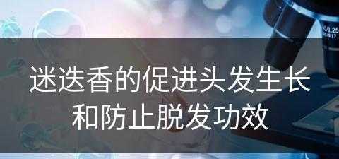 迷迭香的促进头发生长和防止脱发功效